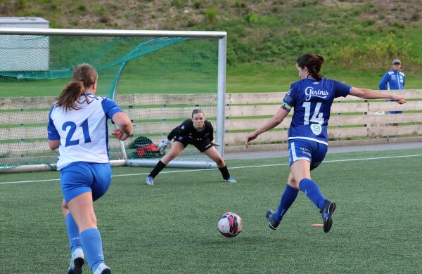 Storseier i 6. divisjon damer