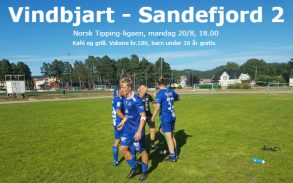 SF kampannonse