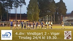 vigorH2018